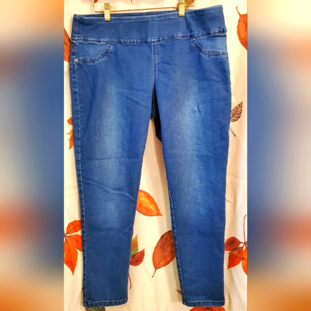 Style & Co Petite Curvy Jeggings